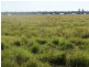 Condamine Park Warrego Highway, Chinchilla QLD 4413