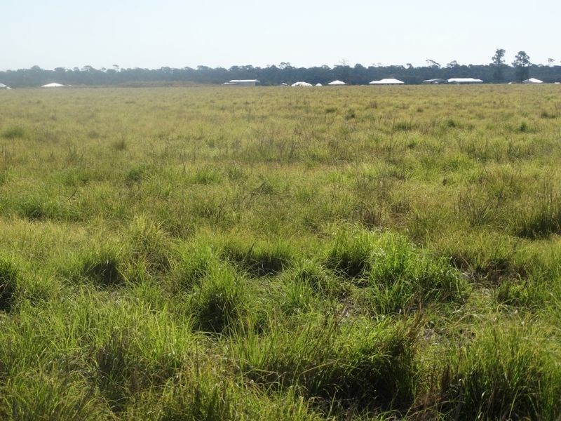 Condamine Park Warrego Highway, Chinchilla QLD 4413
