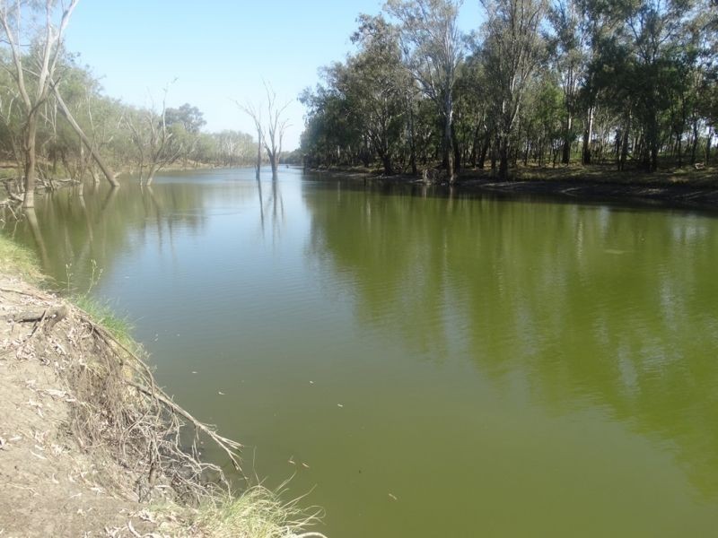 Condamine Park Warrego Highway, Chinchilla QLD 4413