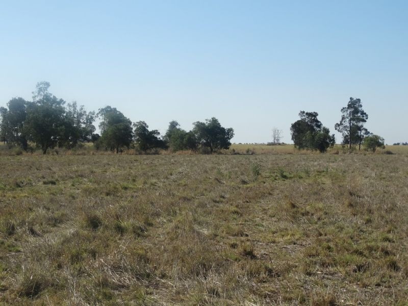 Condamine Park Warrego Highway, Chinchilla QLD 4413