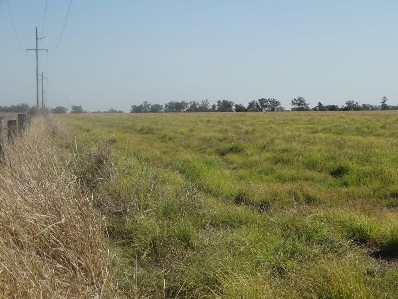 Condamine Park Warrego Highway, Chinchilla QLD 4413