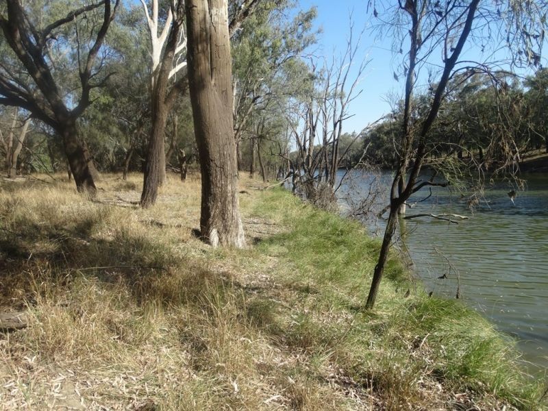 Condamine Park Warrego Highway, Chinchilla QLD 4413