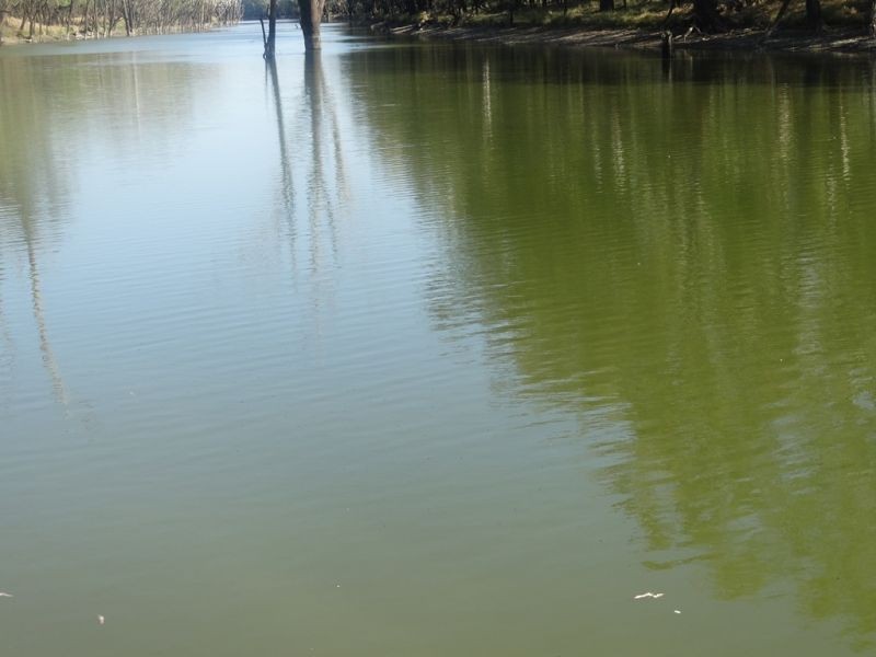 Condamine Park Warrego Highway, Chinchilla QLD 4413