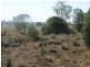 Condamine Park Warrego Highway, Chinchilla QLD 4413