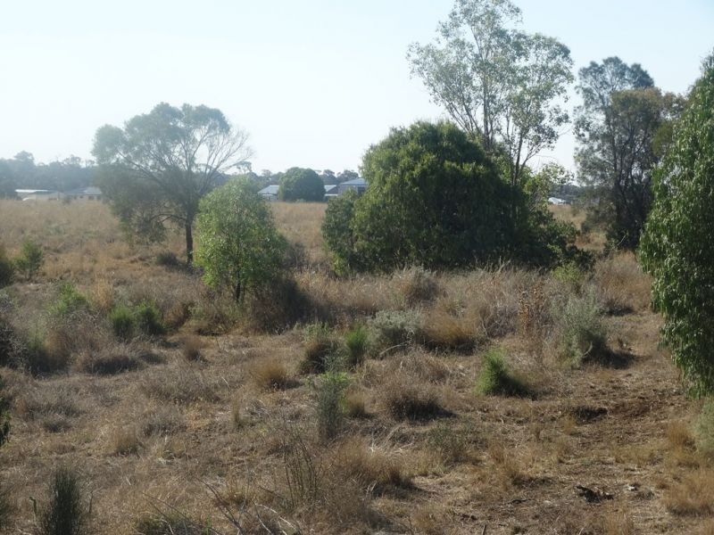 Condamine Park Warrego Highway, Chinchilla QLD 4413