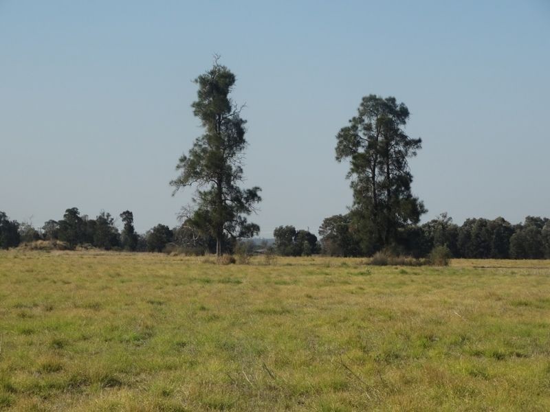 Condamine Park Warrego Highway, Chinchilla QLD 4413
