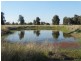 Condamine Park Warrego Highway, Chinchilla QLD 4413