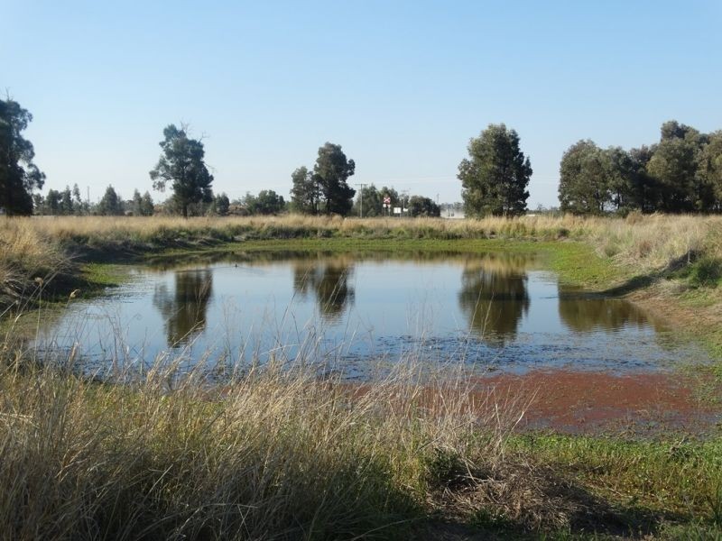 Condamine Park Warrego Highway, Chinchilla QLD 4413