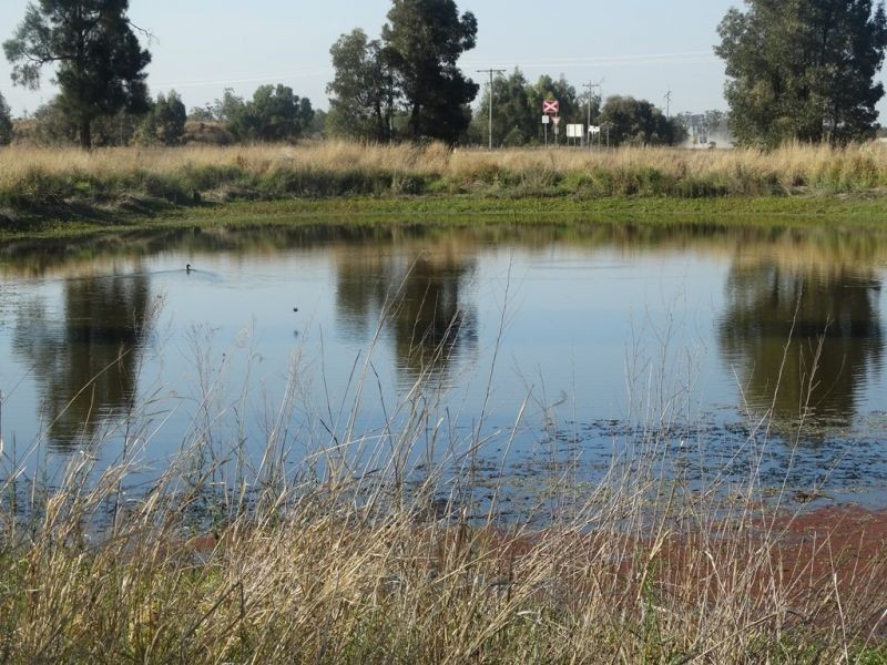 Condamine Park Warrego Highway, Chinchilla QLD 4413