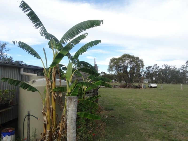 69 Coxen Street, Jandowae QLD 4410