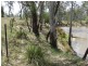 Lot 3 Burra Burri Road, Chinchilla QLD 4413