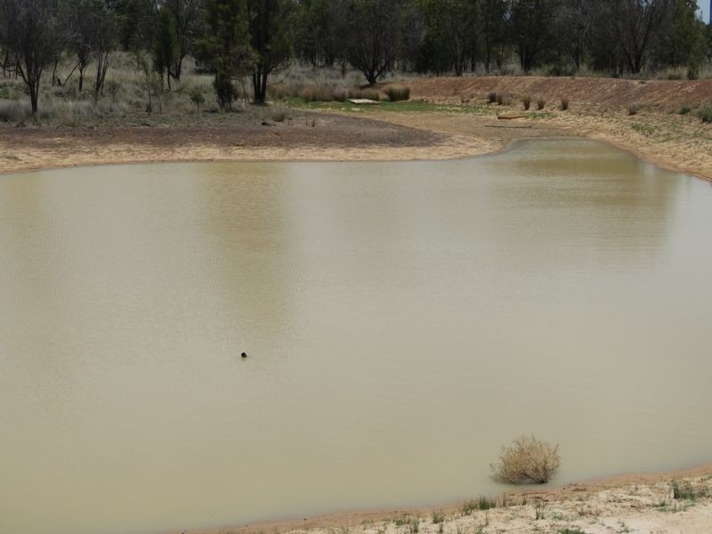 Lot 3 Burra Burri Road, Chinchilla QLD 4413