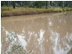 Lot 1 Grays Road, Chinchilla QLD 4413