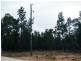 Lot 1 Grays Road, Chinchilla QLD 4413