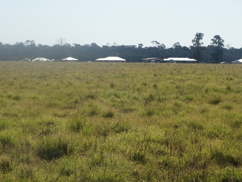 Condamine Park Warrego Highway, Chinchilla QLD 4413