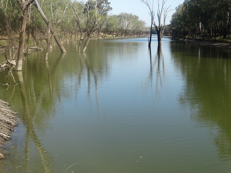 Condamine Park Warrego Highway, Chinchilla QLD 4413