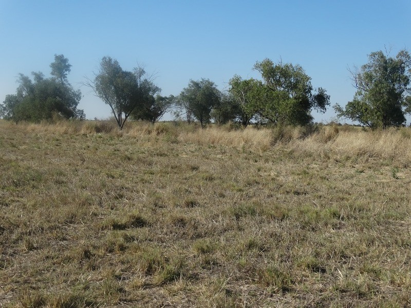 Condamine Park Warrego Highway, Chinchilla QLD 4413