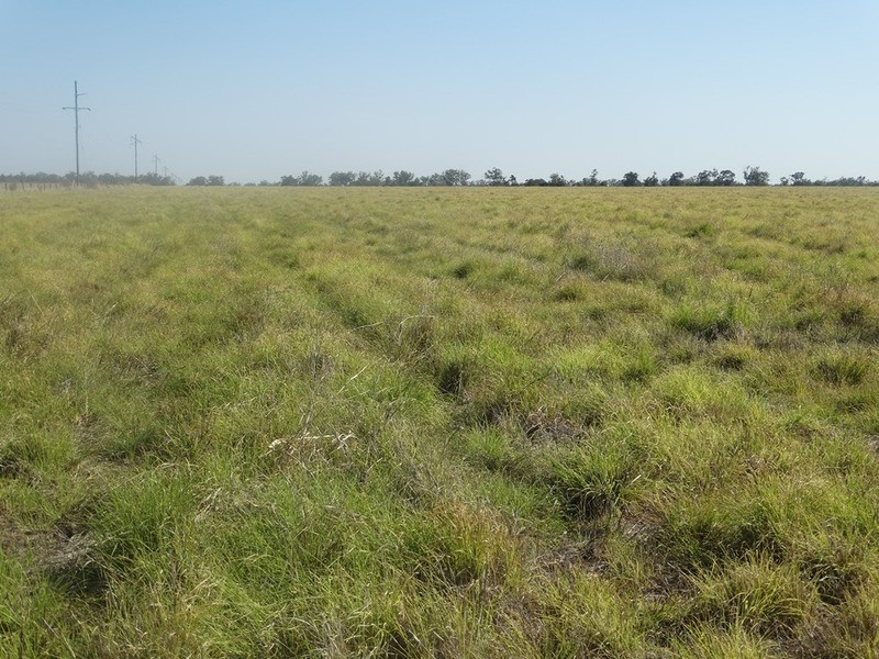 Condamine Park Warrego Highway, Chinchilla QLD 4413