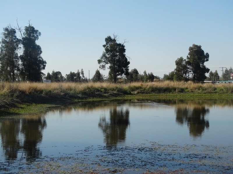 Condamine Park Warrego Highway, Chinchilla QLD 4413