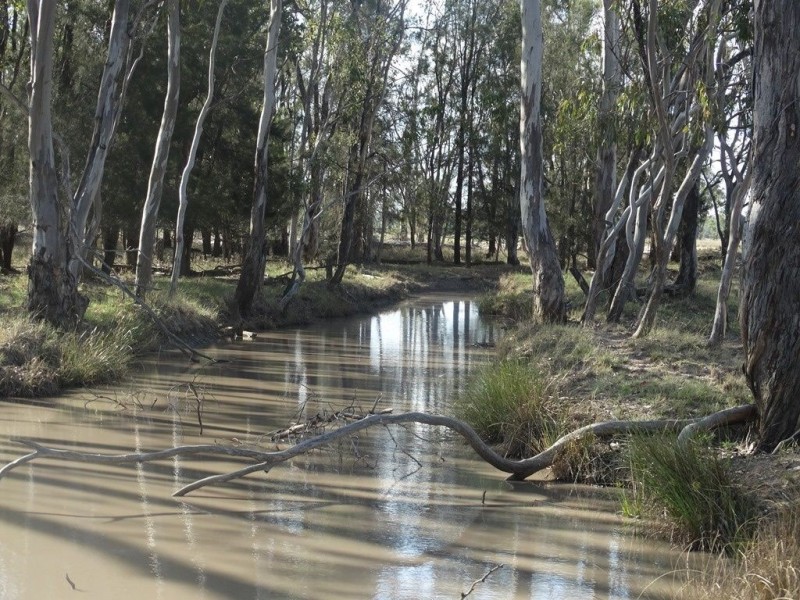Lot 118 Warrens Road, Chinchilla QLD 4413