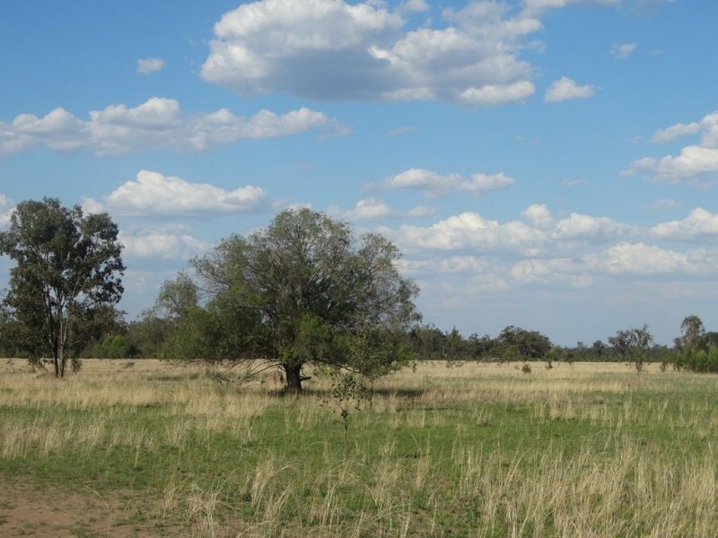 Lot 118 Warrens Road, Chinchilla QLD 4413