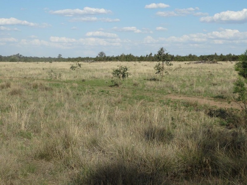 Lot 118 Warrens Road, Chinchilla QLD 4413