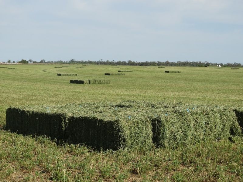 Lot 18 Barkers Road, Chinchilla QLD 4413