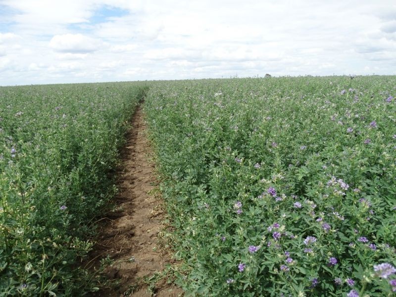 Lot 18 Barkers Road, Chinchilla QLD 4413