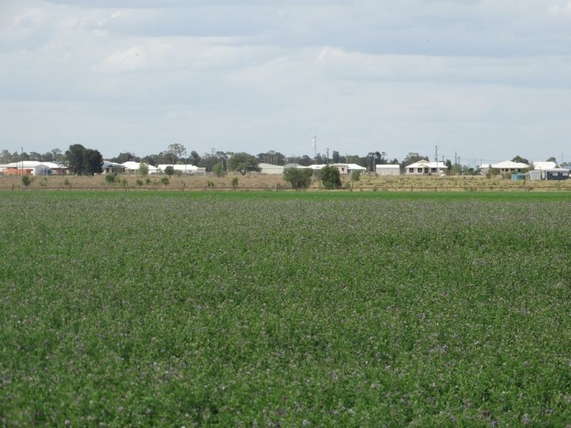 Lot 18 Barkers Road, Chinchilla QLD 4413