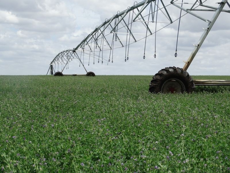 Lot 18 Barkers Road, Chinchilla QLD 4413