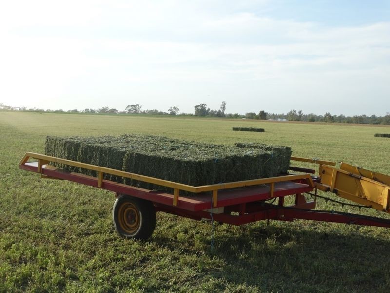 Lot 18 Barkers Road, Chinchilla QLD 4413