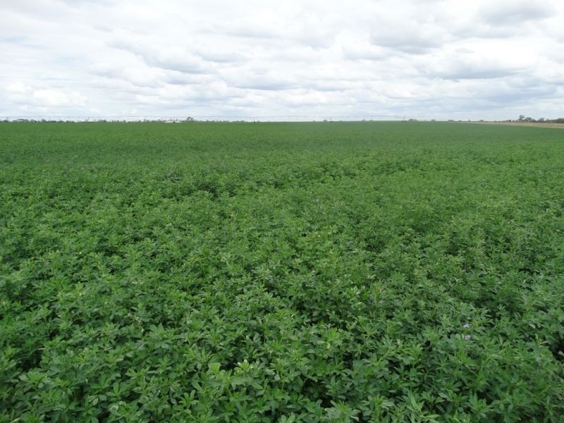 Lot 18 Barkers Road, Chinchilla QLD 4413