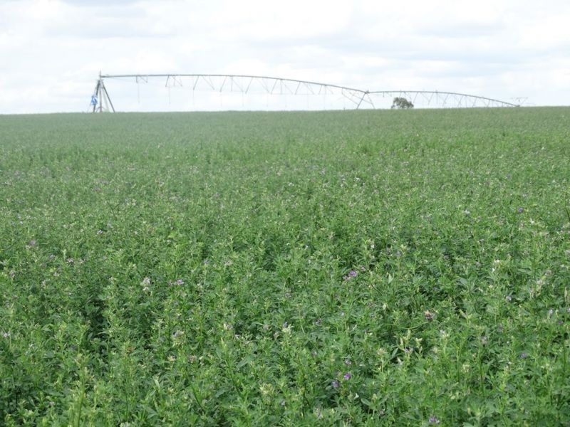 Lot 18 Barkers Road, Chinchilla QLD 4413