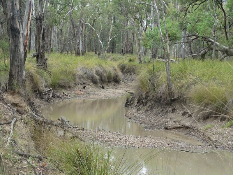 Lot 1 Banana Bridge Road, Kogan QLD 4406