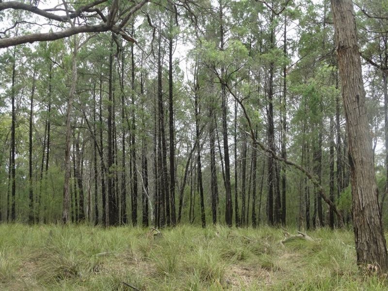 Lot 1 Banana Bridge Road, Kogan QLD 4406