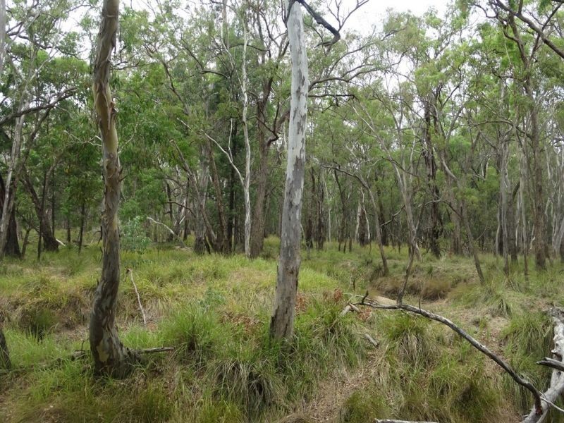 Lot 1 Banana Bridge Road, Kogan QLD 4406