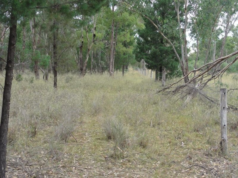 3 Crystal Creek Road, Kogan QLD 4406