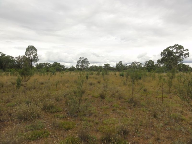 3 Crystal Creek Road, Kogan QLD 4406