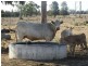 1967 Burncluith Hall Road, Chinchilla QLD 4413