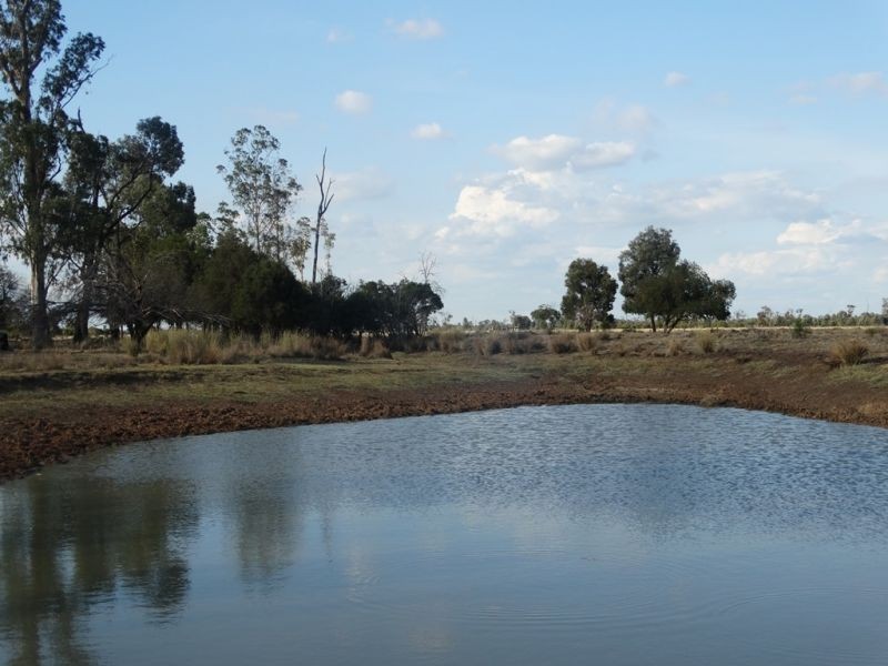 1967 Burncluith Hall Road, Chinchilla QLD 4413