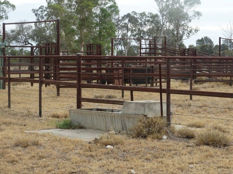 1967 Burncluith Hall Road, Chinchilla QLD 4413