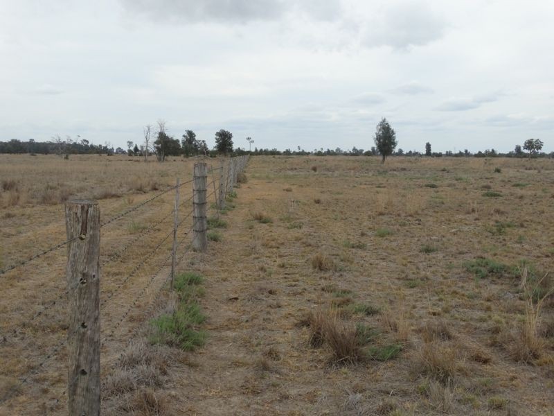 1967 Burncluith Hall Road, Chinchilla QLD 4413