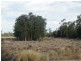 1967 Burncluith Hall Road, Chinchilla QLD 4413