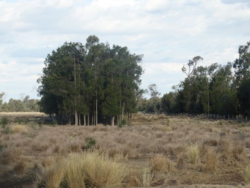 1967 Burncluith Hall Road, Chinchilla QLD 4413