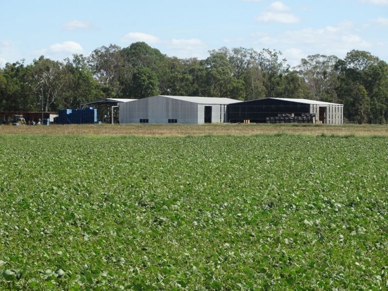 1605 Burra Burri Creek Road, Chinchilla QLD 4413