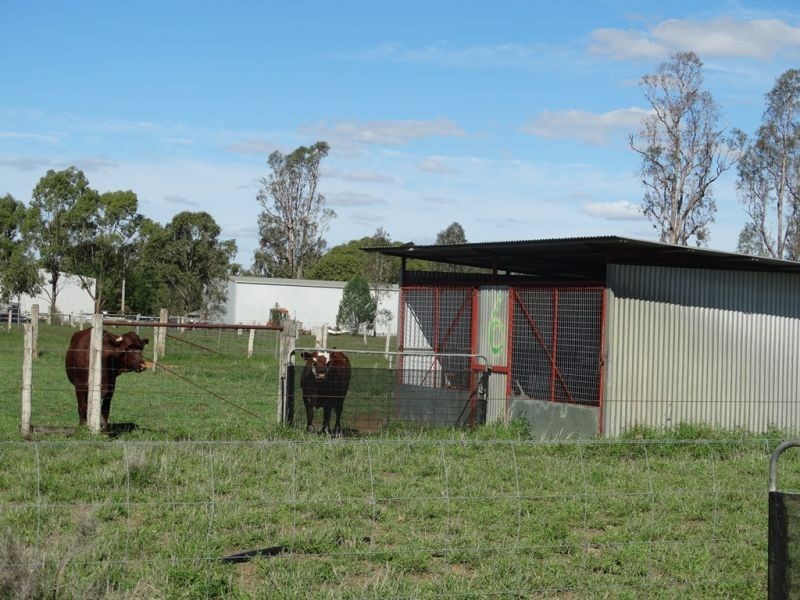 1605 Burra Burri Creek Road, Chinchilla QLD 4413