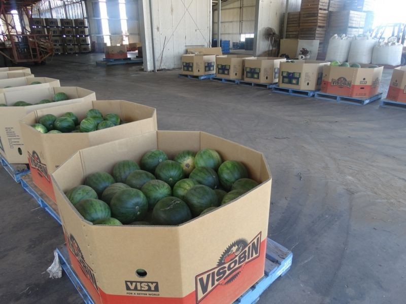 1605 Burra Burri Creek Road, Chinchilla QLD 4413