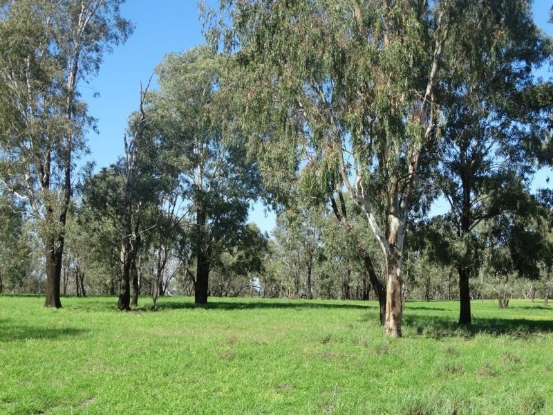Lot 94 G Evans Road, Boonarga QLD 4413