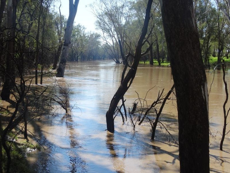 Lot 94 G Evans Road, Boonarga QLD 4413