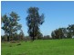 Lot 94 G Evans Road, Boonarga QLD 4413